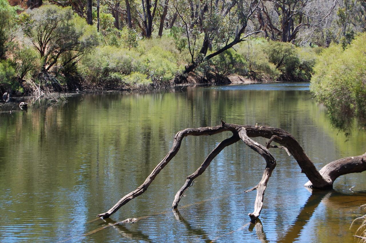 Beyonderup Falls Adult Retreat Nannup Δωμάτιο φωτογραφία